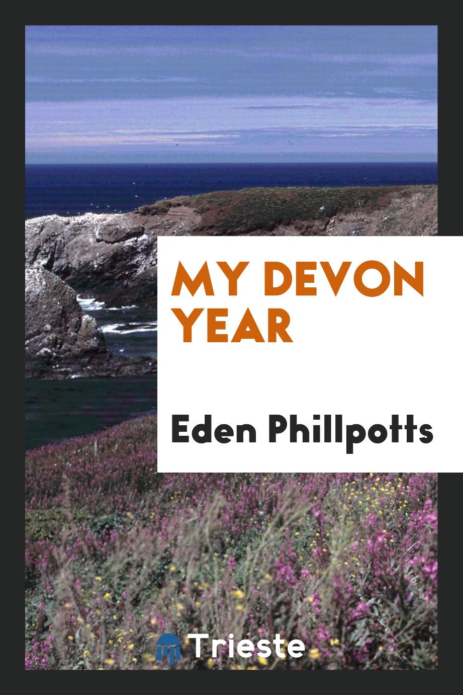 My Devon year