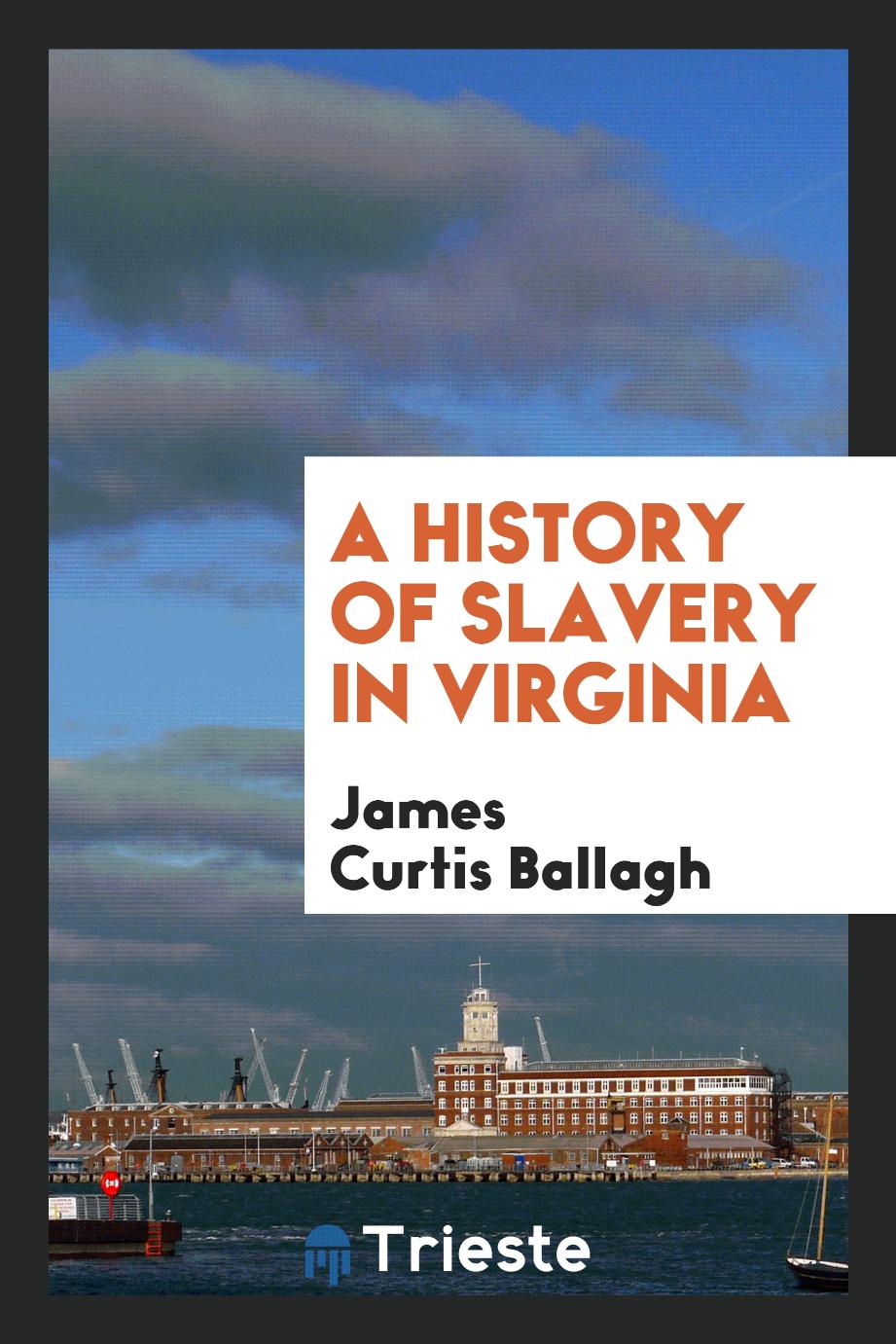 A History of Slavery in Virginia