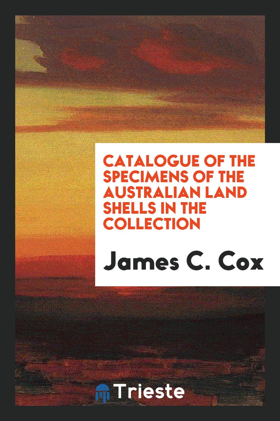 Catalogue of the specimens of the Australian land shells in the collection