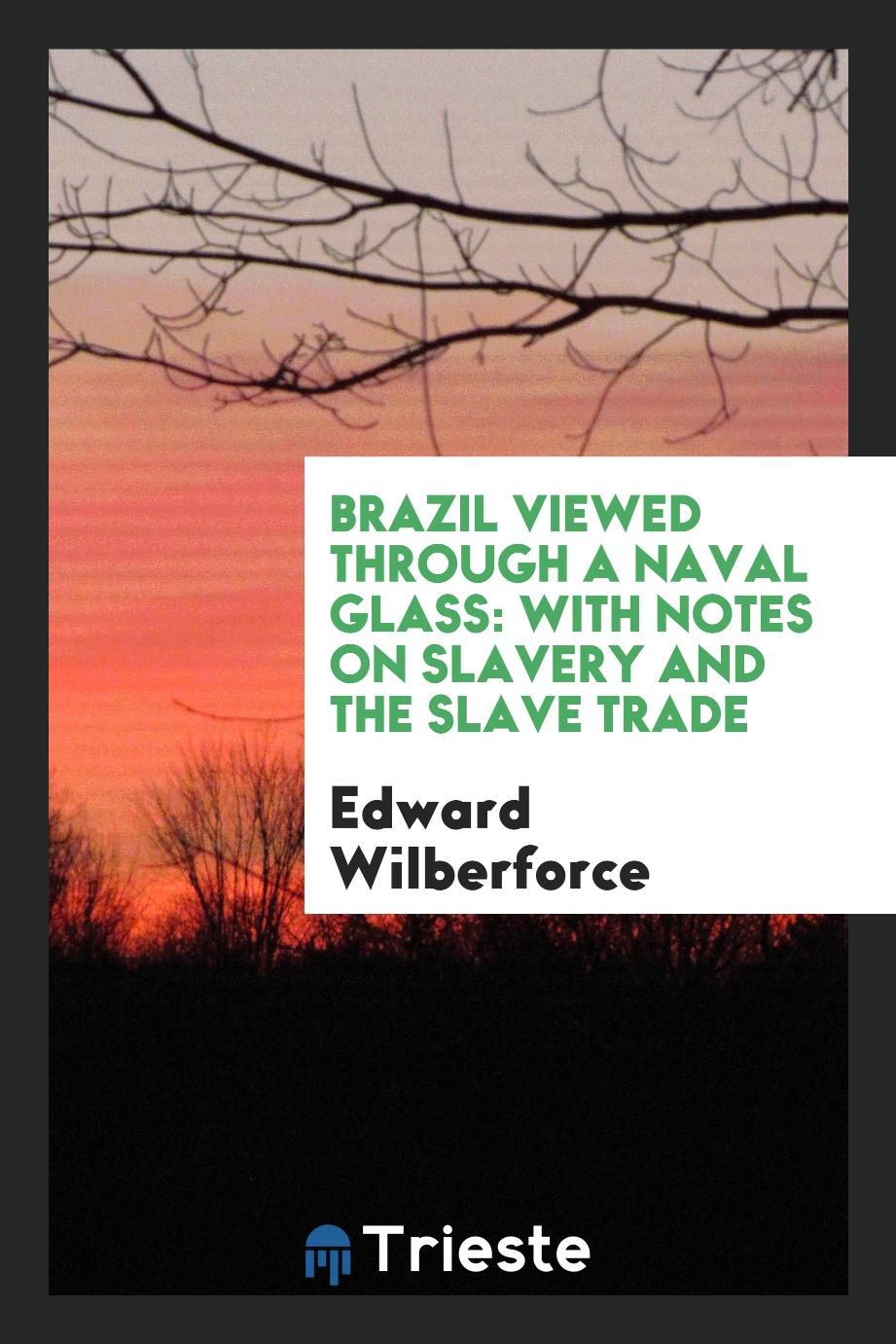Brazil viewed through a naval glass: with notes on slavery and the slave trade
