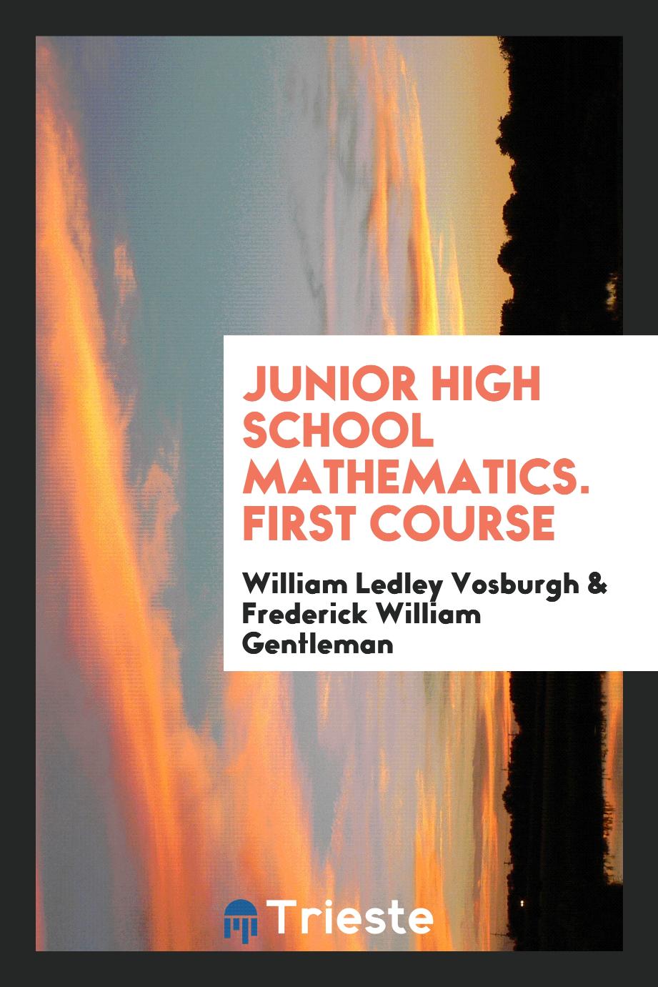 Junior High School Mathematics. First Course