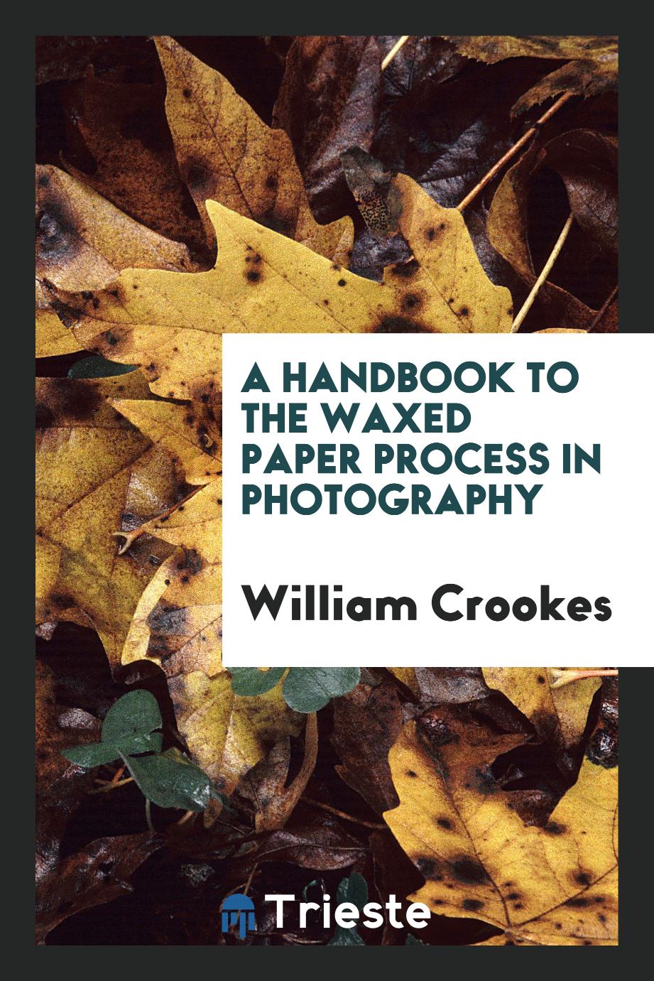 A handbook to the waxed paper process in photography