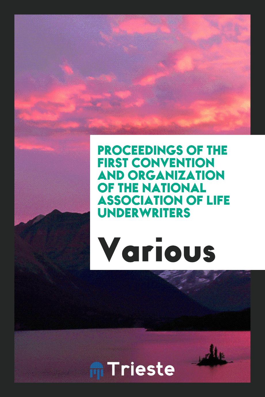 Proceedings of the First Convention and Organization of the National Association of Life Underwriters