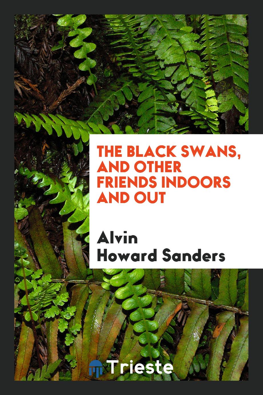 The black swans, and other friends indoors and out