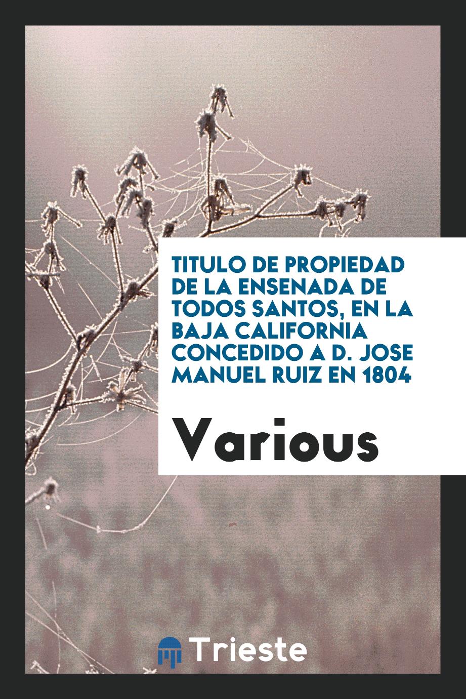 Titulo de Propiedad de la Ensenada de Todos Santos, en la Baja California concedido a D. Jose Manuel Ruiz en 1804