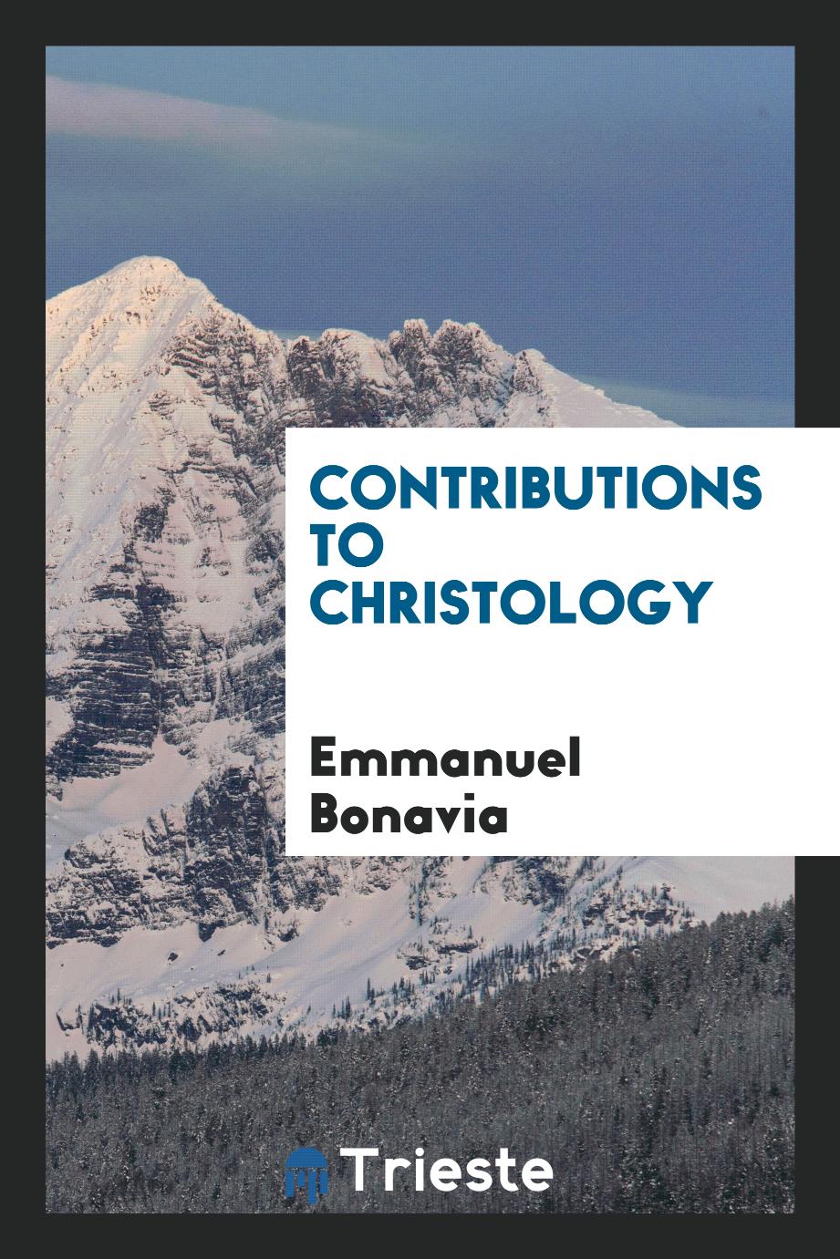 Contributions to Christology