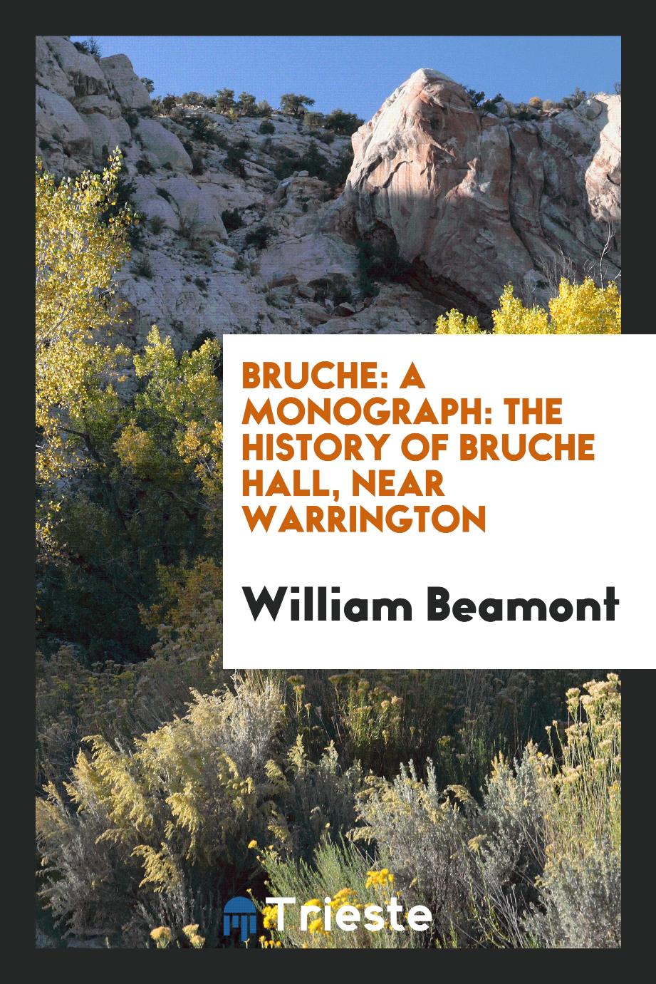 Bruche: A Monograph: the History of Bruche Hall, Near Warrington
